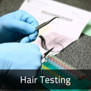 Hair Testing – Firmus Labs