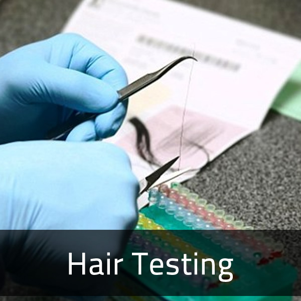 Hair Testing Firmus Labs
